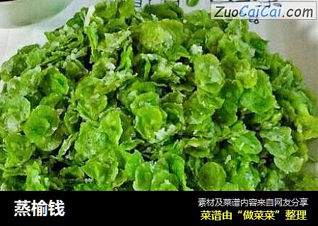 蒸榆钱