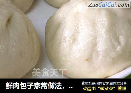 鲜肉包子家常做法，鲜嫩多汁，香而不腻，满满肉香的大包子。