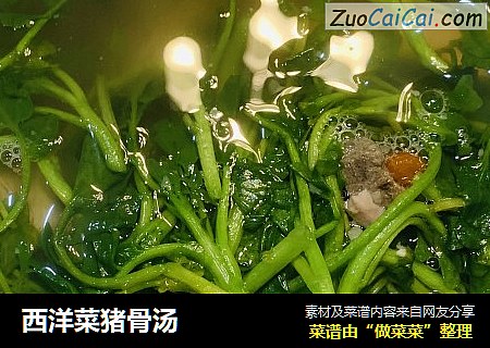 西洋菜猪骨汤