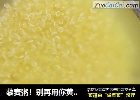 藜麦粥！别再用你黄澄澄的尾巴诱惑我了！ 