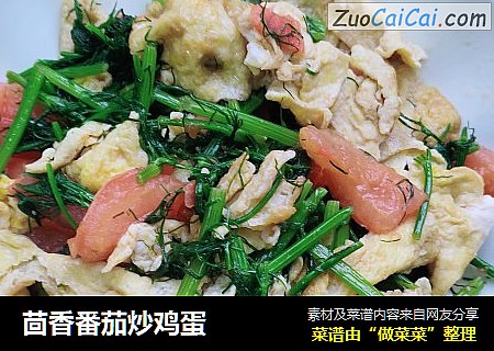 茴香番茄炒鸡蛋