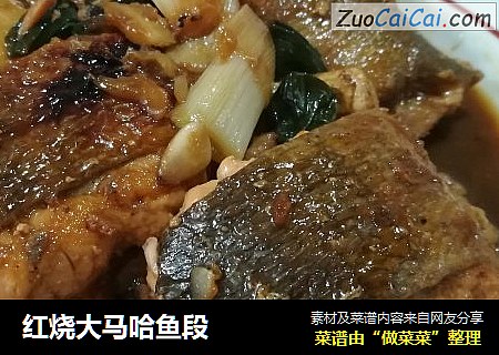 红烧大马哈鱼段
