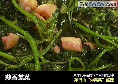 蒜香苋菜