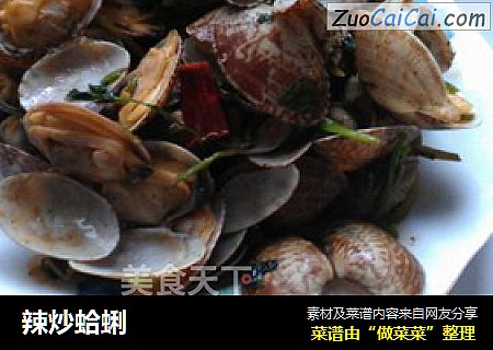 辣炒蛤蜊