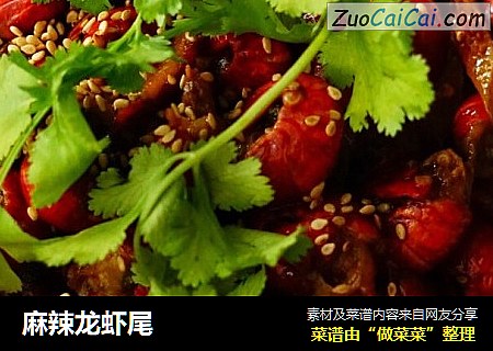 麻辣龙虾尾