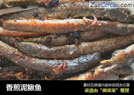 香煎泥鳅鱼
