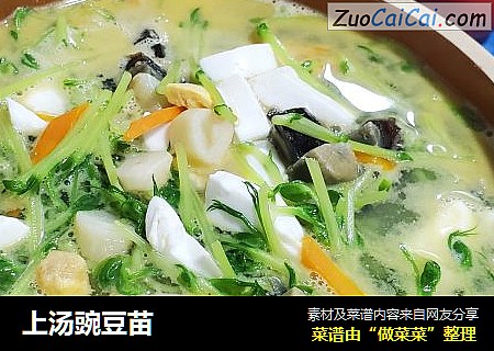 上汤豌豆苗