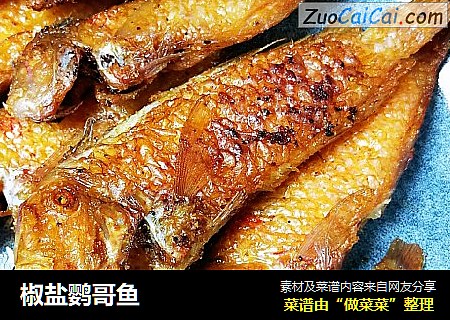 椒盐鹦哥鱼