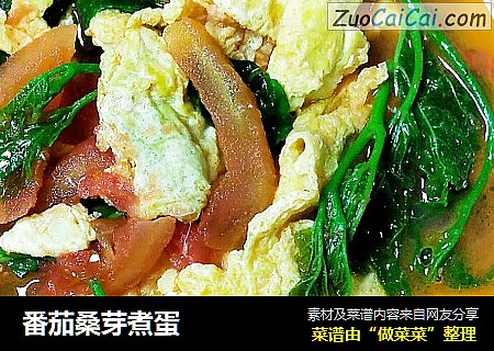 番茄桑芽煮蛋