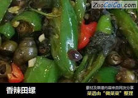 香辣田螺