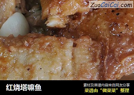 红烧塔嘛鱼