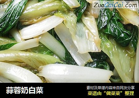 蒜蓉奶白菜