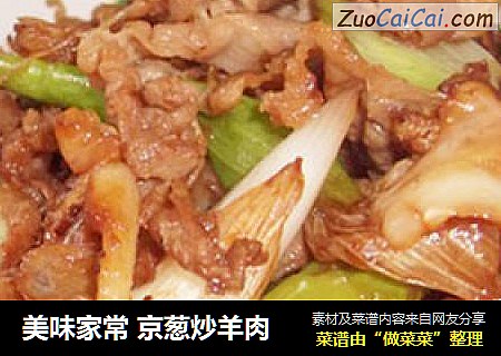 美味家常 京葱炒羊肉