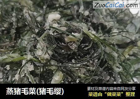 蒸猪毛菜