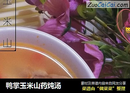 鸭掌玉米山药炖汤