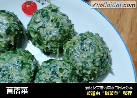 苜蓿菜