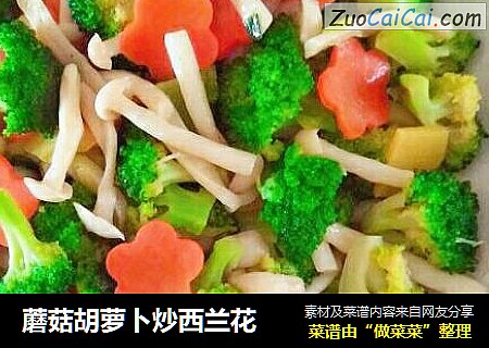蘑菇胡萝卜炒西兰花