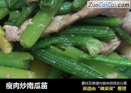 瘦肉炒南瓜苗