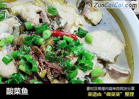 酸菜鱼