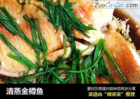清蒸金樽鱼