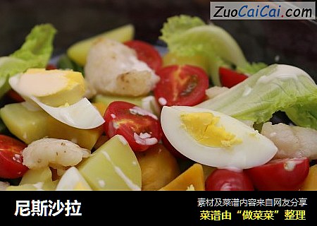 尼斯沙拉