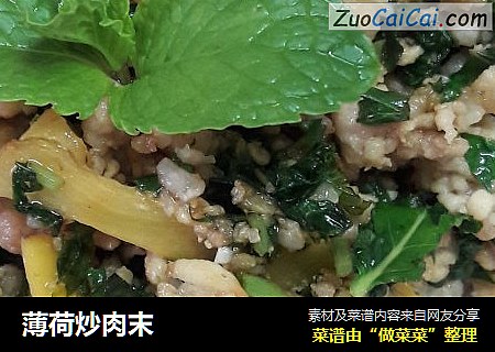 薄荷炒肉末