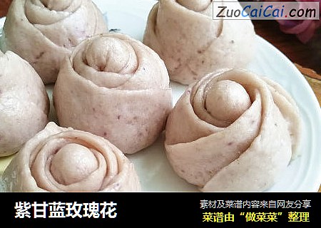 紫甘蓝玫瑰花