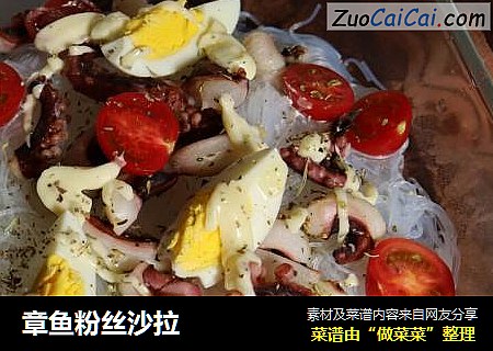 章鱼粉丝沙拉