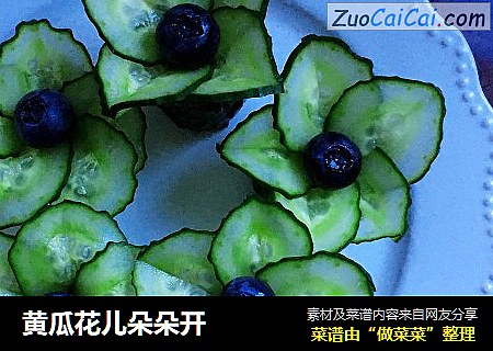 黄瓜花儿朵朵开
