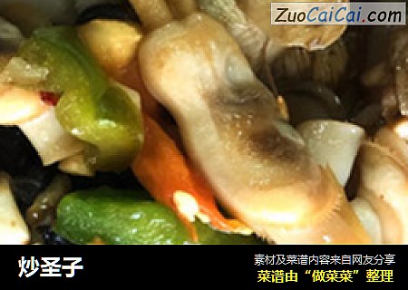 炒圣子