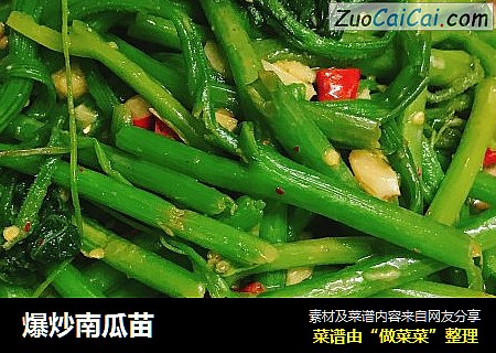 爆炒南瓜苗