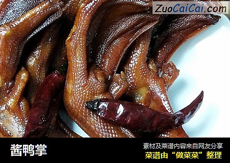 酱鸭掌