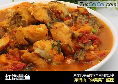 红烧草鱼