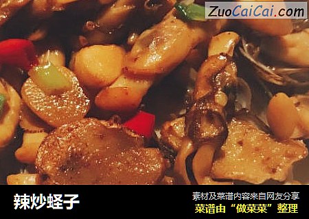 辣炒蛏子