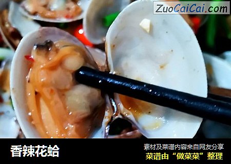 香辣花蛤