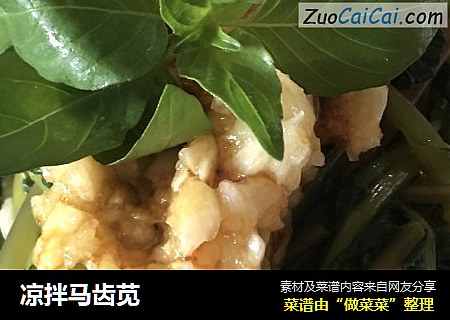 凉拌马齿苋