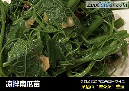 凉拌南瓜苗