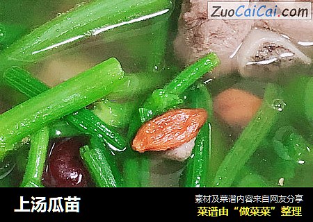 上汤瓜苗