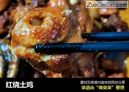 红烧土鸡