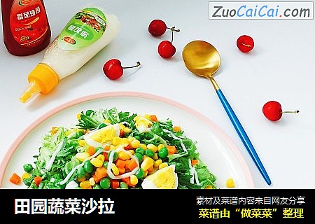 田园蔬菜沙拉