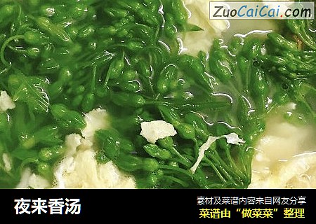 夜来香汤