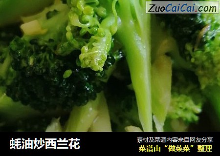 蚝油炒西兰花