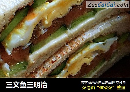三文鱼三明治
