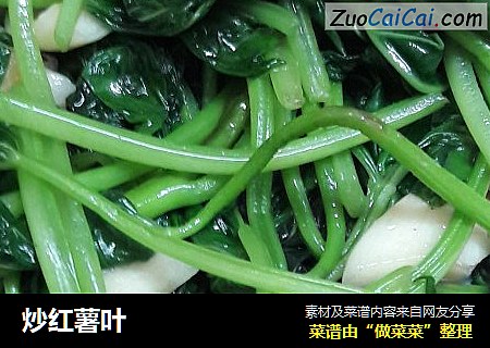 炒红薯叶