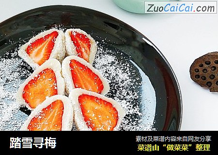 踏雪寻梅