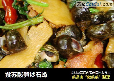 紫苏酸笋炒石螺