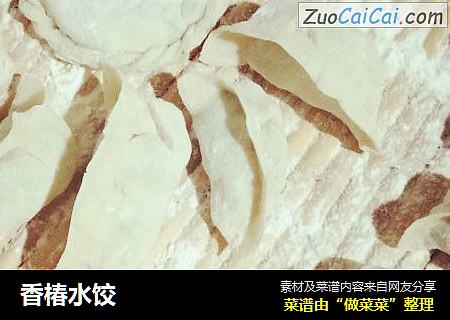香椿水饺