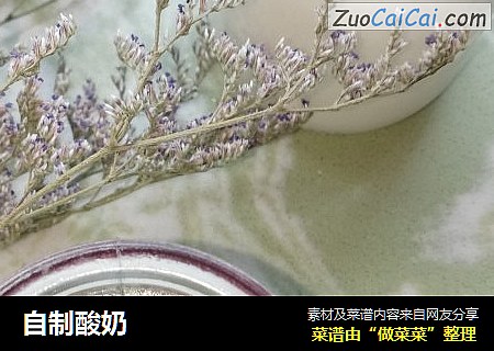 自制酸奶