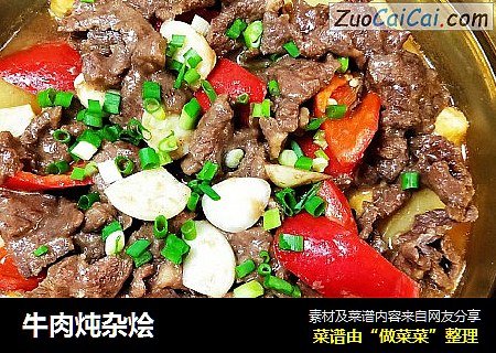 牛肉炖杂烩