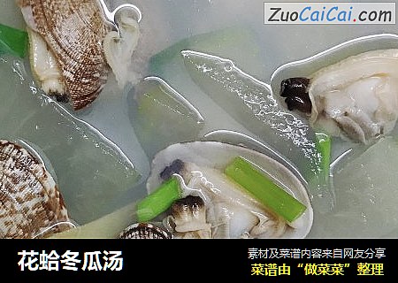 花蛤冬瓜汤